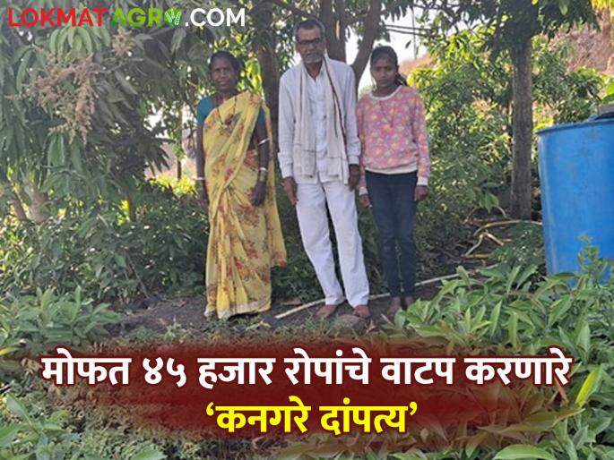 Commendable initiative of Gram Panchayat worker; 45 thousand saplings distributed free of cost in eleven years | ग्रामपंचायत कामगाराचा स्तुत्य उपक्रम; अकरा वर्षांत ४५ हजार रोपांचे केले मोफत वाटप Commendable initiative of Gram Panchayat worker; 45 thousand saplings distributed free of cost in eleven years | ग्रामपंचायत कामगाराचा स्तुत्य उपक्रम; अकरा वर्षांत ४५ हजार रोपांचे केले मोफत वाटप