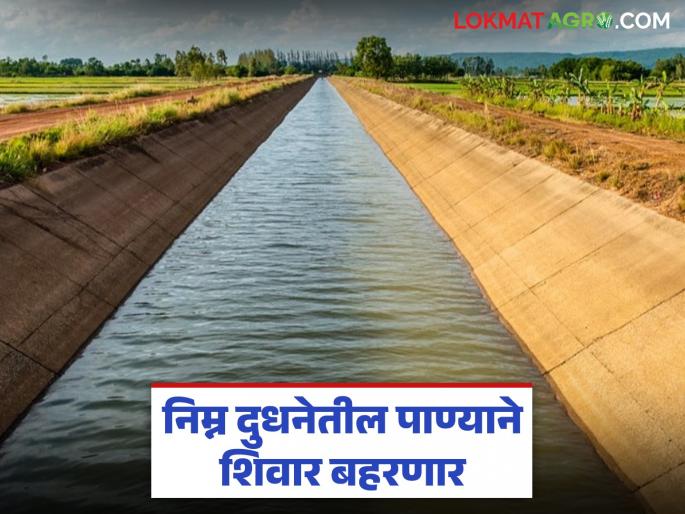 Rabi will get support; Four rounds will be released from the Lower Milking Project this year | रब्बीला मिळणार आधार; यंदा निम्न दुधना प्रकल्पातून सोडण्यात येणार चार आवर्तने Rabi will get support; Four rounds will be released from the Lower Milking Project this year | रब्बीला मिळणार आधार; यंदा निम्न दुधना प्रकल्पातून सोडण्यात येणार चार आवर्तने