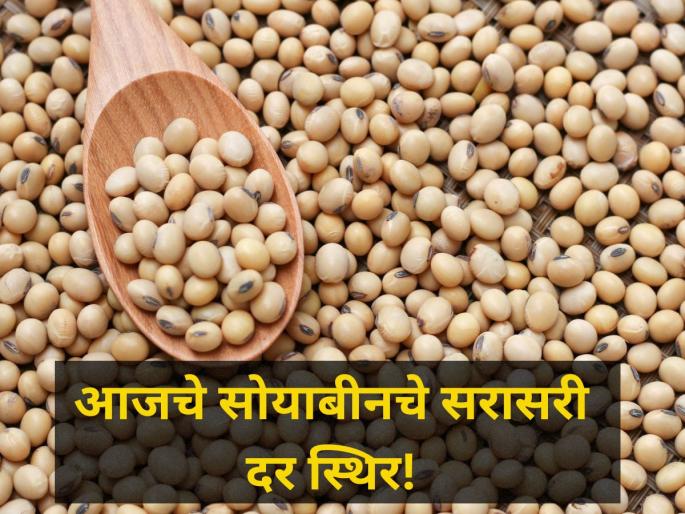 Soybean prices rate today stable market yard maharashtra onion rate agriculture | Soyabean Rate : सोयाबीनला आज मिळाला 2810 रूपयांचा निचांकी भाव; सरासरी दर स्थिर! Soybean prices rate today stable market yard maharashtra onion rate agriculture | Soyabean Rate : सोयाबीनला आज मिळाला 2810 रूपयांचा निचांकी भाव; सरासरी दर स्थिर!