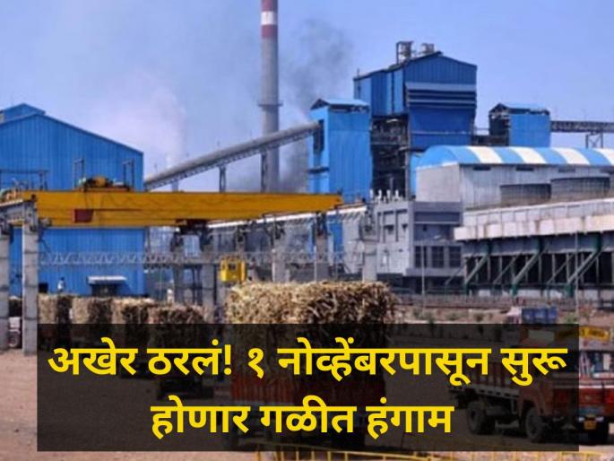 Finally decided Sugarcane harvesting season will start from November 1 cm eknath shinde meeting | अखेर ठरलं! १ नोव्हेंबरपासूनच सुरू होणार उसाचा गळीत हंगाम Finally decided Sugarcane harvesting season will start from November 1 cm eknath shinde meeting | अखेर ठरलं! १ नोव्हेंबरपासूनच सुरू होणार उसाचा गळीत हंगाम