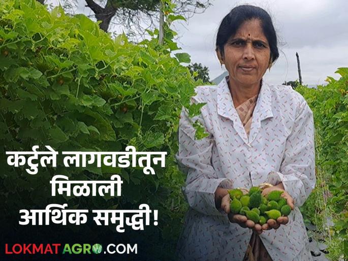 Women Farmer landewadi sunanda chaskar Salute Economic progress of women farmers by planting curtule in half an acre, vermicompost production | Women Farmer : सलाम! अर्ध्या एकरात कर्टुले लागवड, गांडूळ खत निर्मितीतून महिला शेतकऱ्याची आर्थिक प्रगती!