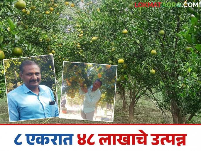 Farmer Success Story: Progress achieved through modern farming technology; Gopalrao earns Rs. 48 lakhs from 8 acres | Farmer Success Story : आधुनिक शेती तंत्रज्ञानाने साधली प्रगती; गोपालरावांची ८ एकरात ४८ लाखांची कमाई Farmer Success Story: Progress achieved through modern farming technology; Gopalrao earns Rs. 48 lakhs from 8 acres | Farmer Success Story : आधुनिक शेती तंत्रज्ञानाने साधली प्रगती; गोपालरावांची ८ एकरात ४८ लाखांची कमाई