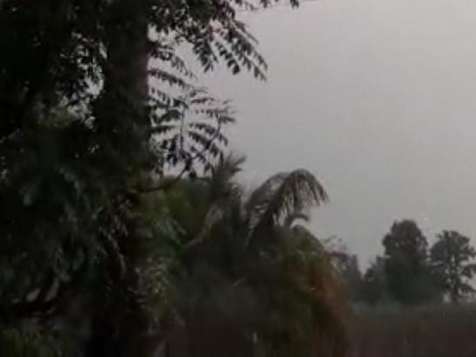 Kolhapur district received heavy rains along with strong winds; Lightning struck the coconut tree | कोल्हापूर जिल्ह्यात वादळी वाऱ्यासह पावसाचा तडाखा; नारळाच्या झाडावर वीज कोसळली Kolhapur district received heavy rains along with strong winds; Lightning struck the coconut tree | कोल्हापूर जिल्ह्यात वादळी वाऱ्यासह पावसाचा तडाखा; नारळाच्या झाडावर वीज कोसळली