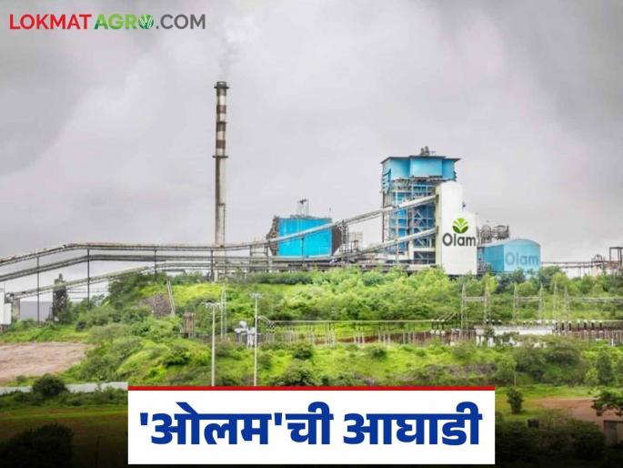 Us Galap: 'Olam' sugar factory leads in sugarcane crushing in Gadhinglaj division | Us Galap : 'ओलम' साखर कारखाना गडहिंग्लज विभागाच्या ऊस गाळपात आघाडीवर