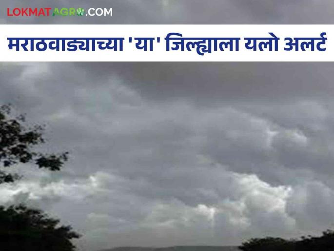 Rain Alert : Yellow Alert in 'this' district of Marathwada; Chance of heavy rain with gusty winds | Rain Alert : मराठवाड्याच्या 'या' जिल्ह्यात यलो अलर्ट; सोसाट्याच्या वाऱ्यासह मुसळधार पावसाची शक्यता Rain Alert : Yellow Alert in 'this' district of Marathwada; Chance of heavy rain with gusty winds | Rain Alert : मराठवाड्याच्या 'या' जिल्ह्यात यलो अलर्ट; सोसाट्याच्या वाऱ्यासह मुसळधार पावसाची शक्यता
