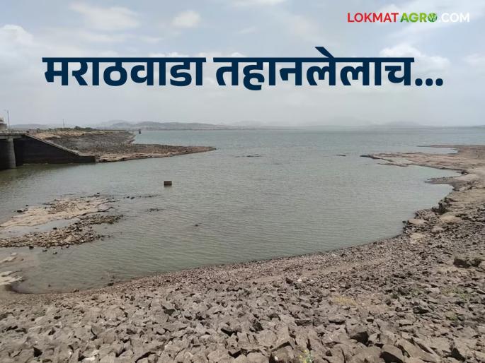 When will the drought-stricken Marathwada get its rightful water from the funds announced in the budget? | अर्थसंकल्पात घोषणा झालेल्या निधीतून दुष्काळग्रस्त मराठवाड्याला हक्काचे पाणी मिळणार कधी? When will the drought-stricken Marathwada get its rightful water from the funds announced in the budget? | अर्थसंकल्पात घोषणा झालेल्या निधीतून दुष्काळग्रस्त मराठवाड्याला हक्काचे पाणी मिळणार कधी?