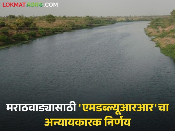 Two petitions seeking rightful water rejected; MWRR's unjust decision for Marathwada | हक्काचे पाणी मागणाऱ्या दोन याचिका फेटाळल्या; मराठवाड्यासाठी एमडब्ल्यूआरआरचा अन्यायकारक निर्णय