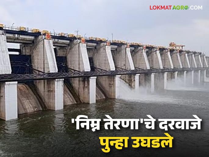 Lower Terna Project gates reopened; Major discharge of 6850 cusecs into Terna riverbed begins | निम्न तेरणा प्रकल्पाचे दरवाजे पुन्हा उघडले; तेरणा नदीपात्रात ६८५० क्युसेकने मोठा विसर्ग सुरू