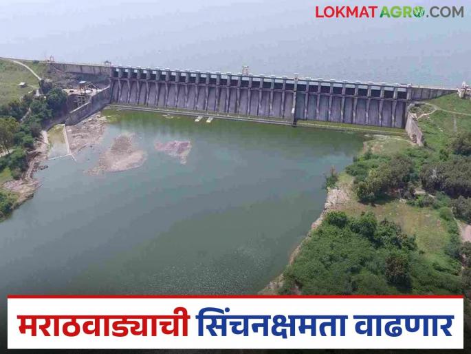 Marathwada's irrigation capacity will increase by 1.61 lakh hectares; Water Resources Department starts work on 'these' 62 projects | मराठवाड्याची सिंचनक्षमता १.६१ लाख हेक्टरने वाढणार; जलसंपदाकडून 'या' ६२ प्रकल्पांची कामे सुरू Marathwada's irrigation capacity will increase by 1.61 lakh hectares; Water Resources Department starts work on 'these' 62 projects | मराठवाड्याची सिंचनक्षमता १.६१ लाख हेक्टरने वाढणार; जलसंपदाकडून 'या' ६२ प्रकल्पांची कामे सुरू
