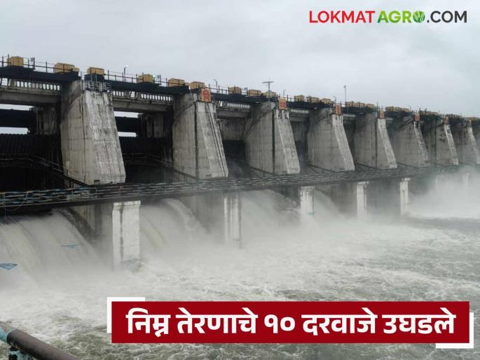 Discharge from Lower Terna Project increased; Alert issued to villages along Terna river | निम्न तेरणा प्रकल्पातून विसर्ग वाढला; तेरणा नदीकाठच्या गावांना सतर्कतेचा इशारा Discharge from Lower Terna Project increased; Alert issued to villages along Terna river | निम्न तेरणा प्रकल्पातून विसर्ग वाढला; तेरणा नदीकाठच्या गावांना सतर्कतेचा इशारा