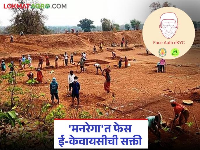 Now Fake laborers will be out! Attendance of laborers will be recorded through face authentication system in 'MGNREGA' | आता बोगस मजूर होणार आऊट! 'मनरेगा'त फेस ऑथेंटिकेशन प्रणालीद्वारे नोंदवली जाणार मजुरांची हजेरी Now Fake laborers will be out! Attendance of laborers will be recorded through face authentication system in 'MGNREGA' | आता बोगस मजूर होणार आऊट! 'मनरेगा'त फेस ऑथेंटिकेशन प्रणालीद्वारे नोंदवली जाणार मजुरांची हजेरी