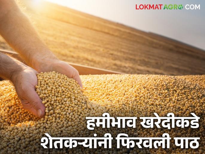 State government faces difficulty in extending registration deadline; Soybean producers have nothing left to sell soybeans at guaranteed prices | राज्य सरकारवर नोंदणीसाठी मुदतवाढीची नामुष्की; हमीभावाने सोयाबीन विक्रीसाठी सोयाबीन उत्पादकांकडे शिल्लक काहीच नाही State government faces difficulty in extending registration deadline; Soybean producers have nothing left to sell soybeans at guaranteed prices | राज्य सरकारवर नोंदणीसाठी मुदतवाढीची नामुष्की; हमीभावाने सोयाबीन विक्रीसाठी सोयाबीन उत्पादकांकडे शिल्लक काहीच नाही