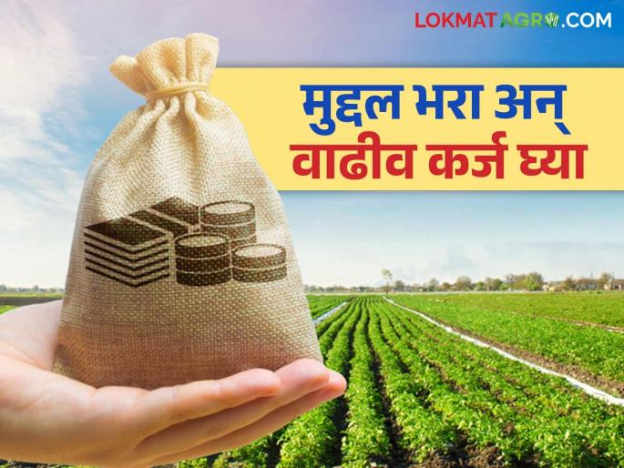 Farmers, pay only the principal of your crop loan and take a 10 percent increase in loan this year | शेतकऱ्यांनो, पीक कर्जाची फक्त मुद्दल भरा अन् यंदा दहा टक्के वाढीव कर्ज घ्या Farmers, pay only the principal of your crop loan and take a 10 percent increase in loan this year | शेतकऱ्यांनो, पीक कर्जाची फक्त मुद्दल भरा अन् यंदा दहा टक्के वाढीव कर्ज घ्या