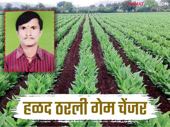 Effective irrigation along with organic fertilizers brought about a turnaround; 25 gunthas of turmeric yielded an income of Rs 35 lakhs | सेंद्रिय खतांसह प्रभावी सिंचनाने केला कायापलाट; २५ गुंठ्यात घेतले हळदीचे ३५ क्विंटल उत्पादन Effective irrigation along with organic fertilizers brought about a turnaround; 25 gunthas of turmeric yielded an income of Rs 35 lakhs | सेंद्रिय खतांसह प्रभावी सिंचनाने केला कायापलाट; २५ गुंठ्यात घेतले हळदीचे ३५ क्विंटल उत्पादन