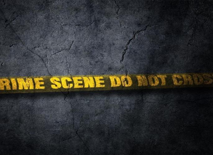 The murder of a painter who abused his parents; 'Bruno' sat near the corpse | आई-वडिलांना शिवीगाळ करणाऱ्या पेंटरची हत्या; 'ब्रुनो' बसून राहिला मृतदेहाजवळ The murder of a painter who abused his parents; 'Bruno' sat near the corpse | आई-वडिलांना शिवीगाळ करणाऱ्या पेंटरची हत्या; 'ब्रुनो' बसून राहिला मृतदेहाजवळ