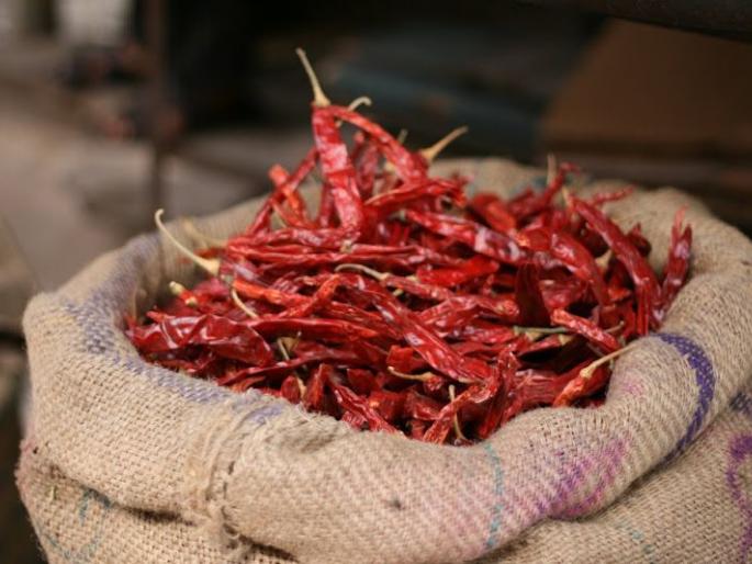 The market for red chillies in Chandrapur district has been filling up for 50 years | ५० वर्षांपासून चंद्रपूर जिल्ह्यातील कोठारीत भरतोय लाल मिरचीचा बाजार The market for red chillies in Chandrapur district has been filling up for 50 years | ५० वर्षांपासून चंद्रपूर जिल्ह्यातील कोठारीत भरतोय लाल मिरचीचा बाजार