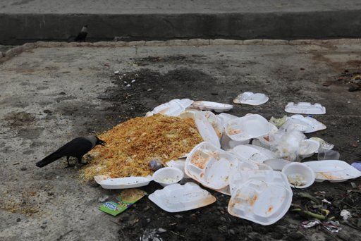 Fine up to one lakh for throwing food in the open | उरलेले अन्न उघड्यावर फेकताय? खबरदार! होईल एक लाखापर्यंत दंड