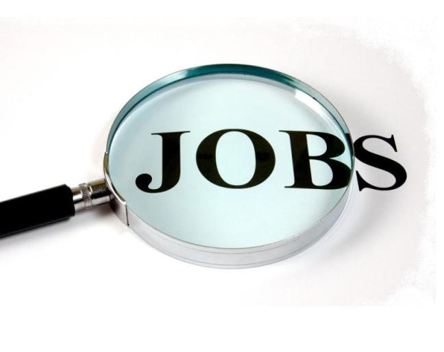 fraud in job appointment | भाच्यांना नोकरीचे आमिष दाखवून घातली मामाला टोपी fraud in job appointment | भाच्यांना नोकरीचे आमिष दाखवून घातली मामाला टोपी