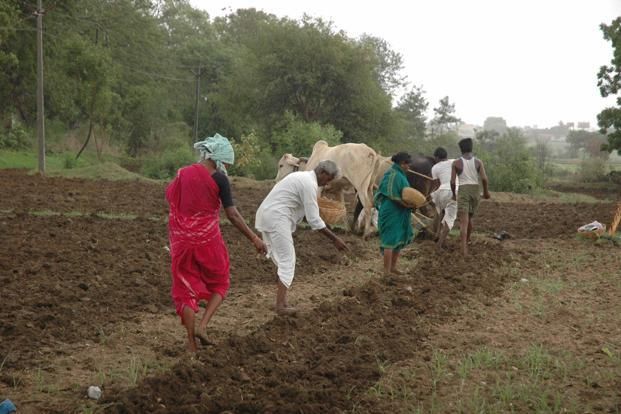 Rain is playing hide and seek, sowing is delayed! | पाऊस खेळतोय लपाछपी, पेरण्या गेल्यात लांबणीवर ! Rain is playing hide and seek, sowing is delayed! | पाऊस खेळतोय लपाछपी, पेरण्या गेल्यात लांबणीवर !