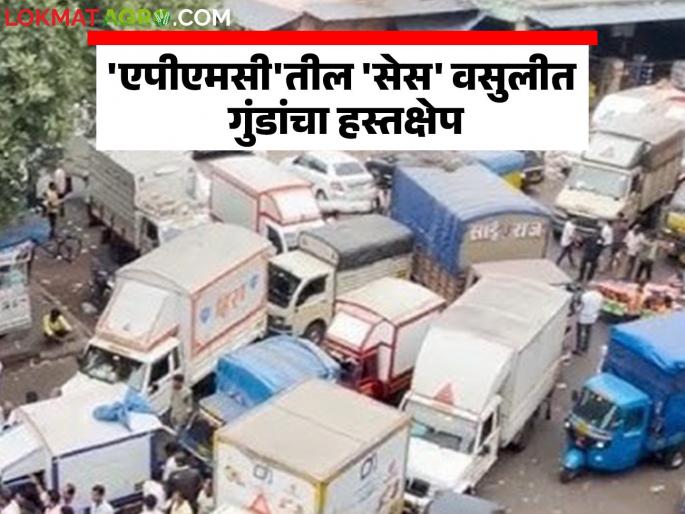 Goons interfere in the collection of 'cess' from the state's 'this' Agricultural Produce Market Committee | राज्याच्या 'या' कृषी उत्पन्न बाजार समितीच्या 'सेस' वसुलीत चक्क गुंडांचा हस्तक्षेप Goons interfere in the collection of 'cess' from the state's 'this' Agricultural Produce Market Committee | राज्याच्या 'या' कृषी उत्पन्न बाजार समितीच्या 'सेस' वसुलीत चक्क गुंडांचा हस्तक्षेप