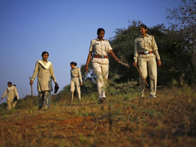 Now the forest department will implement 'Sanman' activities for women | आता वनविभाग महिलांसाठी ‘सन्मान’ उपक्रम राबवणार Now the forest department will implement 'Sanman' activities for women | आता वनविभाग महिलांसाठी ‘सन्मान’ उपक्रम राबवणार