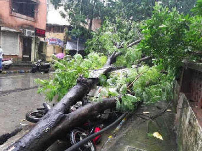 35 incidents of falls in 24 hours in Mumbai; Race to the control room of the fire brigade | मुंबईत २४ तासांत पडझडीच्या ३५ घटना; अग्निशमन दलाच्या नियंत्रण कक्षात धावपळ 35 incidents of falls in 24 hours in Mumbai; Race to the control room of the fire brigade | मुंबईत २४ तासांत पडझडीच्या ३५ घटना; अग्निशमन दलाच्या नियंत्रण कक्षात धावपळ