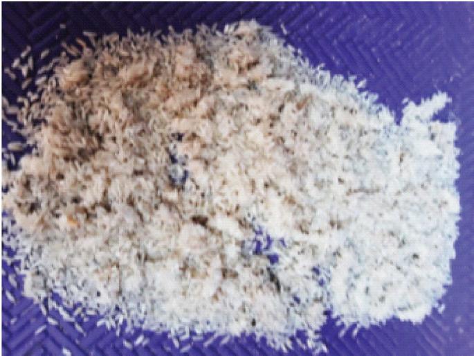 Inferior rice on younger Dahanut rationing; Customer complaints | धाकटी डहाणूत रेशनिंगवर निकृष्ट तांदूळ; ग्राहकांची तक्रार Inferior rice on younger Dahanut rationing; Customer complaints | धाकटी डहाणूत रेशनिंगवर निकृष्ट तांदूळ; ग्राहकांची तक्रार