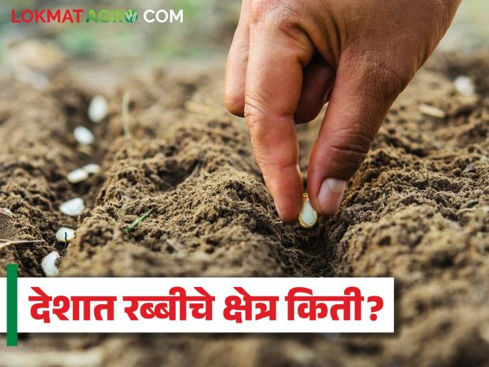 Rabi season 2024 : Dams, ponds overflow with wells due to return rains; But the Rabi season sowing has decreased by so much percentage | Rabi season 2024 : परतीच्या पावसाने विहिरींसह धरण, तलाव ओव्हरफ्लो ; मात्र रब्बी हंगामाच्या पेऱ्यात इतके टक्क्यांनी घट Rabi season 2024 : Dams, ponds overflow with wells due to return rains; But the Rabi season sowing has decreased by so much percentage | Rabi season 2024 : परतीच्या पावसाने विहिरींसह धरण, तलाव ओव्हरफ्लो ; मात्र रब्बी हंगामाच्या पेऱ्यात इतके टक्क्यांनी घट