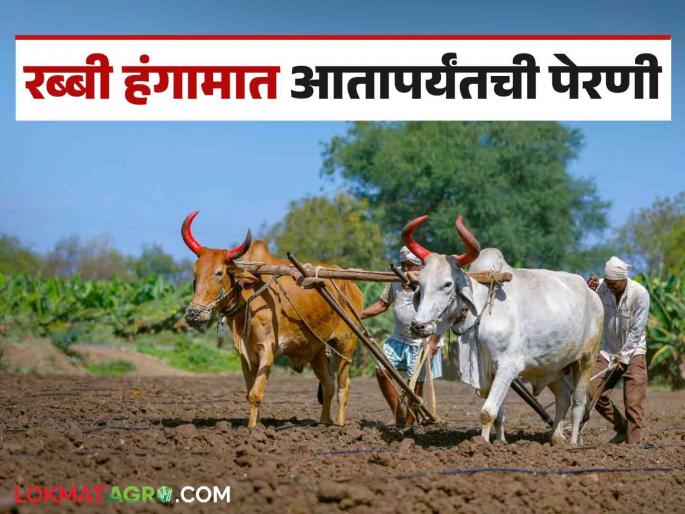 Latest News Crop sowing on 428 lakh hectares during Rabi season, how much sowing of which crop | Rabbi Season 2024 : रब्बी हंगामात 428 लाख हेक्टरवर पीक पेरणी, कोणत्या पिकाची किती पेरणी?