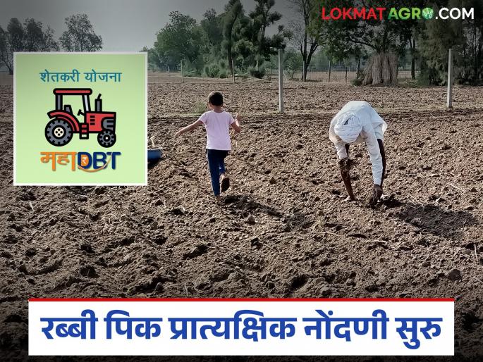 Registration for Rabi season crop demonstration program begins on MahaDBT portal | रब्बी हंगामातील पिक प्रात्यक्षिक कार्यक्रमासाठी महाडीबीटी पोर्टलवर नोंदणी सुरु