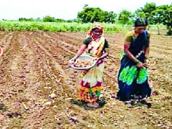 less moisture in the soil; 22 percent sowing of Rabi, concern among farmers | जमिनीत ओल कमी; रबीची २२ टक्के पेरणी, शेतकऱ्यांमध्ये चिंता less moisture in the soil; 22 percent sowing of Rabi, concern among farmers | जमिनीत ओल कमी; रबीची २२ टक्के पेरणी, शेतकऱ्यांमध्ये चिंता