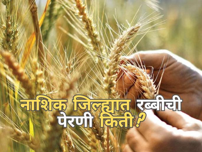 Latest News crop cultivation 76 percent sowing of rabi in Nashik district | नाशिक जिल्ह्यात पेरणी किती झाली? कोणत्या पिकाची सर्वाधिक लागवड Latest News crop cultivation 76 percent sowing of rabi in Nashik district | नाशिक जिल्ह्यात पेरणी किती झाली? कोणत्या पिकाची सर्वाधिक लागवड