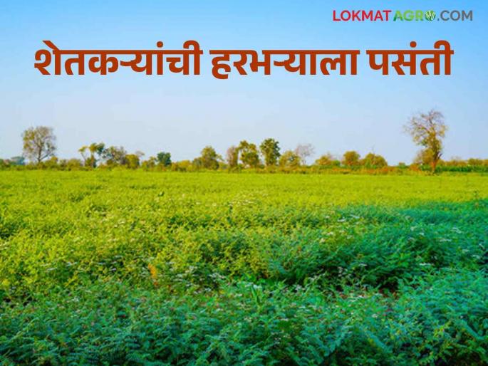 Rabi perani : Preparations for the Rabi season are speeding up | Rabi perani : रब्बी हंगामाची तयारीला वेग; वाशिममध्ये 'इतके' हेक्टरवर पेरणीचे नियोजन Rabi perani : Preparations for the Rabi season are speeding up | Rabi perani : रब्बी हंगामाची तयारीला वेग; वाशिममध्ये 'इतके' हेक्टरवर पेरणीचे नियोजन