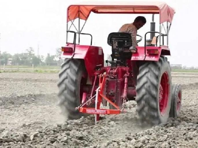 importance to Rabbi wheat, gram; Kardai crop will also be preferred after rain shortage | रब्बीत गहू, हरभरा खाणार भाव; करडई पिकालाही राहणार पसंती! importance to Rabbi wheat, gram; Kardai crop will also be preferred after rain shortage | रब्बीत गहू, हरभरा खाणार भाव; करडई पिकालाही राहणार पसंती!