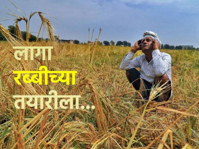 Less chance of rain; Sow rabi crops on available soil moisture | पावसाची शक्यता कमीच; उपलब्ध जमिनीतील ओलाव्यावर करा रब्बी पीकांची पेरणी Less chance of rain; Sow rabi crops on available soil moisture | पावसाची शक्यता कमीच; उपलब्ध जमिनीतील ओलाव्यावर करा रब्बी पीकांची पेरणी