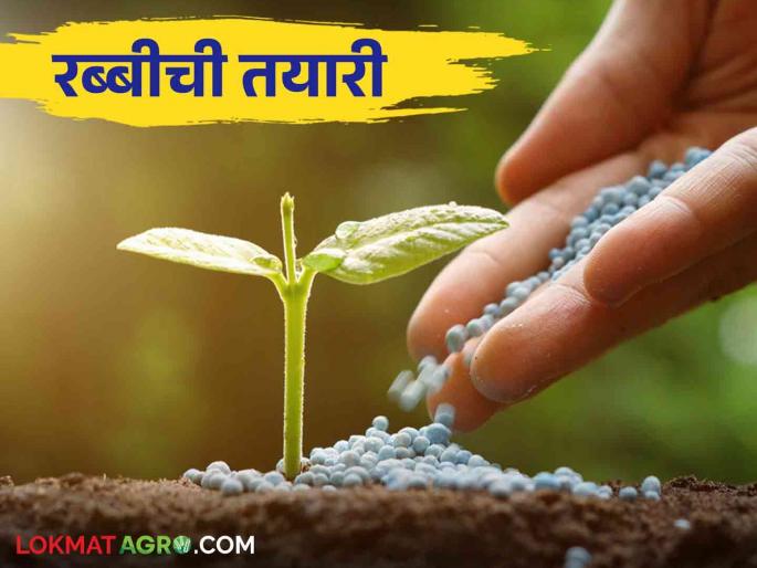Rabi Season : Rabi preparation started by Agriculture Department; This year the area will increase by 'so many' hectares | Rabi Season : कृषी विभागाकडून रब्बीची तयारी सुरू; यंदा 'इतके' हेक्टर वाढणार क्षेत्र Rabi Season : Rabi preparation started by Agriculture Department; This year the area will increase by 'so many' hectares | Rabi Season : कृषी विभागाकडून रब्बीची तयारी सुरू; यंदा 'इतके' हेक्टर वाढणार क्षेत्र