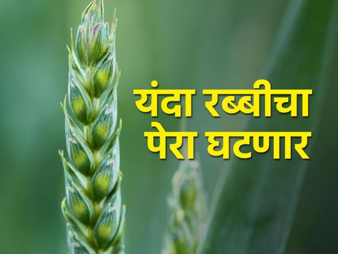 Kharif still in Shivara, Rabi sowing delayed | खरीप अद्याप शिवारात, रब्बीचा पेरा लांबणीवर Kharif still in Shivara, Rabi sowing delayed | खरीप अद्याप शिवारात, रब्बीचा पेरा लांबणीवर