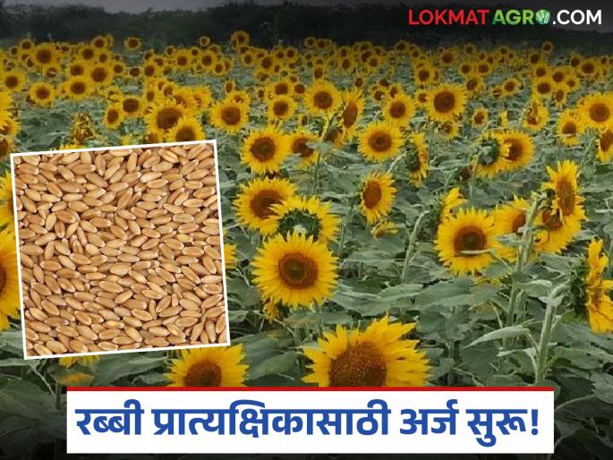 latest news Agriculture Schemes: Demonstration to increase production of Rabi crops; Register today | Agriculture Schemes : रब्बी पिकांच्या उत्पादन वाढीसाठी प्रात्यक्षिक; आजच नोंदणी करा latest news Agriculture Schemes: Demonstration to increase production of Rabi crops; Register today | Agriculture Schemes : रब्बी पिकांच्या उत्पादन वाढीसाठी प्रात्यक्षिक; आजच नोंदणी करा