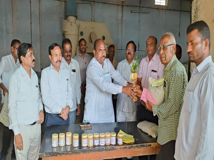 Rabi crops should be planned according to climate change | हवामान बदलानुसार रबी पिकांचे नियोजन करावे Rabi crops should be planned according to climate change | हवामान बदलानुसार रबी पिकांचे नियोजन करावे