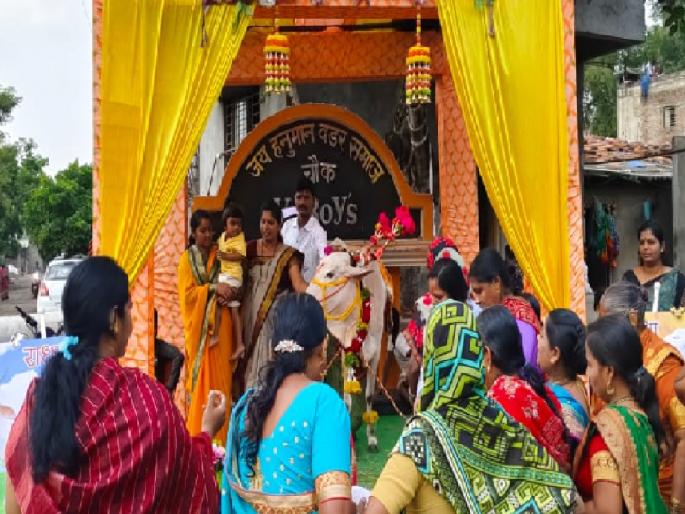 The youth of Kolhapur organized a dohale meal program by donating the life of a cow going to the slaughterhouse | कत्तलखान्यात जाणाऱ्या गाईला 'जीवदान' दिले, कोल्हापुरातील तरुणांनी 1500 लोकांना जेवू घालून 'डोहाळेजेवण' केले The youth of Kolhapur organized a dohale meal program by donating the life of a cow going to the slaughterhouse | कत्तलखान्यात जाणाऱ्या गाईला 'जीवदान' दिले, कोल्हापुरातील तरुणांनी 1500 लोकांना जेवू घालून 'डोहाळेजेवण' केले