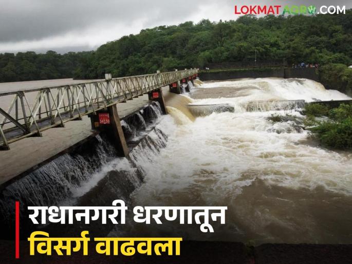 Release from Radhanagari dam increased; water level of Panchgange will increase | राधानगरी धरणातून विसर्ग वाढविला; पंचगंगेच्या पाणी पातळीत वाढ होणार Release from Radhanagari dam increased; water level of Panchgange will increase | राधानगरी धरणातून विसर्ग वाढविला; पंचगंगेच्या पाणी पातळीत वाढ होणार