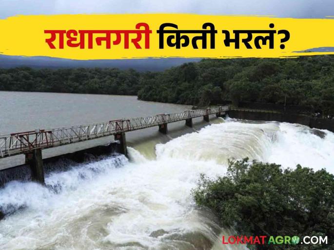 Radhanagari Dam: will fill to its full capacity by the end of July if the rainfall increases | Radhanagari Dam पावसाचा जोर वाढल्यास जुलैअखेर राधानगरी पूर्ण क्षमतेने भरणार Radhanagari Dam: will fill to its full capacity by the end of July if the rainfall increases | Radhanagari Dam पावसाचा जोर वाढल्यास जुलैअखेर राधानगरी पूर्ण क्षमतेने भरणार
