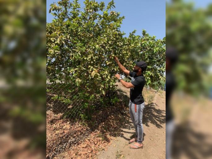 Ajinkya Rahane praised the farmers, post message for all svg | अजिंक्य रहाणेनं केलं शेतकऱ्यांचं कौतुक, म्हणाला...