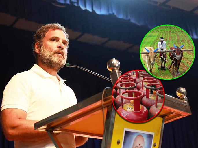 Rahul Gandhi share Congress 8 vachan for Gujarat Election 2022 | "500 रुपयांत सिलिंडर, 10 लाख नोकऱ्या, शेतकऱ्यांना कर्जमाफी"; काँग्रेसकडून आश्वासनांचा पाऊस Rahul Gandhi share Congress 8 vachan for Gujarat Election 2022 | "500 रुपयांत सिलिंडर, 10 लाख नोकऱ्या, शेतकऱ्यांना कर्जमाफी"; काँग्रेसकडून आश्वासनांचा पाऊस