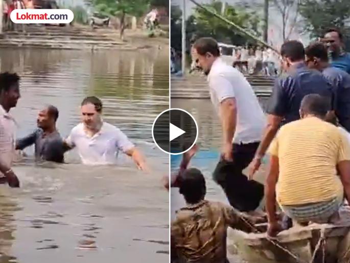 Congress Rahul Gandhi begusarai fish catching tradition culture mukesh sahani Kanhaiya kumar | Rahul Gandhi : राहुल गांधींनी मासे पकडण्यासाठी तलावात मारली उडी अन्...; Video तुफान व्हायरल Congress Rahul Gandhi begusarai fish catching tradition culture mukesh sahani Kanhaiya kumar | Rahul Gandhi : राहुल गांधींनी मासे पकडण्यासाठी तलावात मारली उडी अन्...; Video तुफान व्हायरल