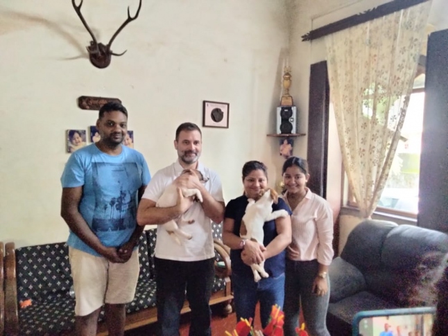 rahul gandhi took two puppies from goa | राहुलजींनी गोव्यातून नेली कुत्र्याची दोन पिल्ले! rahul gandhi took two puppies from goa | राहुलजींनी गोव्यातून नेली कुत्र्याची दोन पिल्ले!