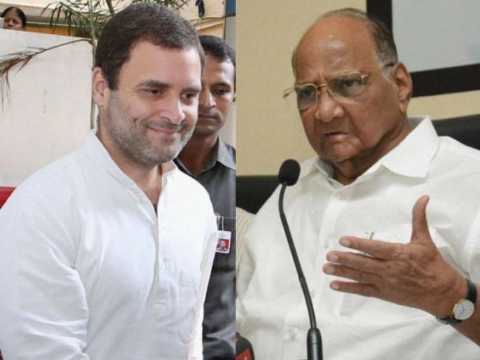 Rahul-Pawar talks for anti-strategies, efforts to bring regional parties closer | विरोधी रणनीतीसाठी राहुल-पवारांची चर्चा, प्रादेशिक पक्षांना जवळ आणण्याचे प्रयत्न Rahul-Pawar talks for anti-strategies, efforts to bring regional parties closer | विरोधी रणनीतीसाठी राहुल-पवारांची चर्चा, प्रादेशिक पक्षांना जवळ आणण्याचे प्रयत्न