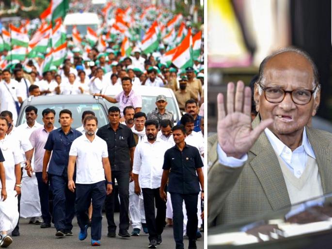 Sharad Pawar led NCP supports Rahul Gandhi led Bharat Jodo Yatra of Congress joining hands in Maharashtra on 10th November | Bharat Jodo ला राष्ट्रवादीचेही पाठ'बळ', १० नोव्हेंबरला Rahul Gandhi यांच्यासोबत NCP चे नेतेही दिसणार! Sharad Pawar led NCP supports Rahul Gandhi led Bharat Jodo Yatra of Congress joining hands in Maharashtra on 10th November | Bharat Jodo ला राष्ट्रवादीचेही पाठ'बळ', १० नोव्हेंबरला Rahul Gandhi यांच्यासोबत NCP चे नेतेही दिसणार!