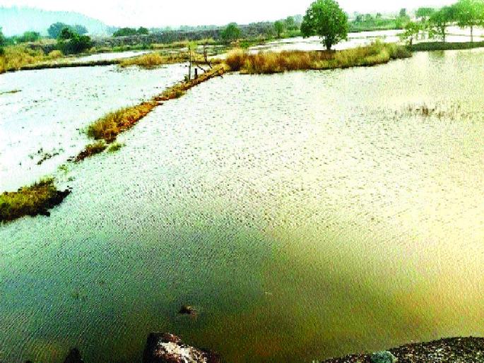 Farmers continue their efforts for the repair of the dam | बंधा-याच्या दुरु स्तीसाठी शेतक-यांचे प्रयत्न सुरू