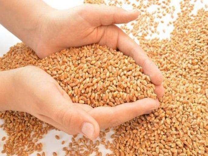 Raigad fourth in the grain distribution | धान्य वितरणात रायगड चौथे Raigad fourth in the grain distribution | धान्य वितरणात रायगड चौथे